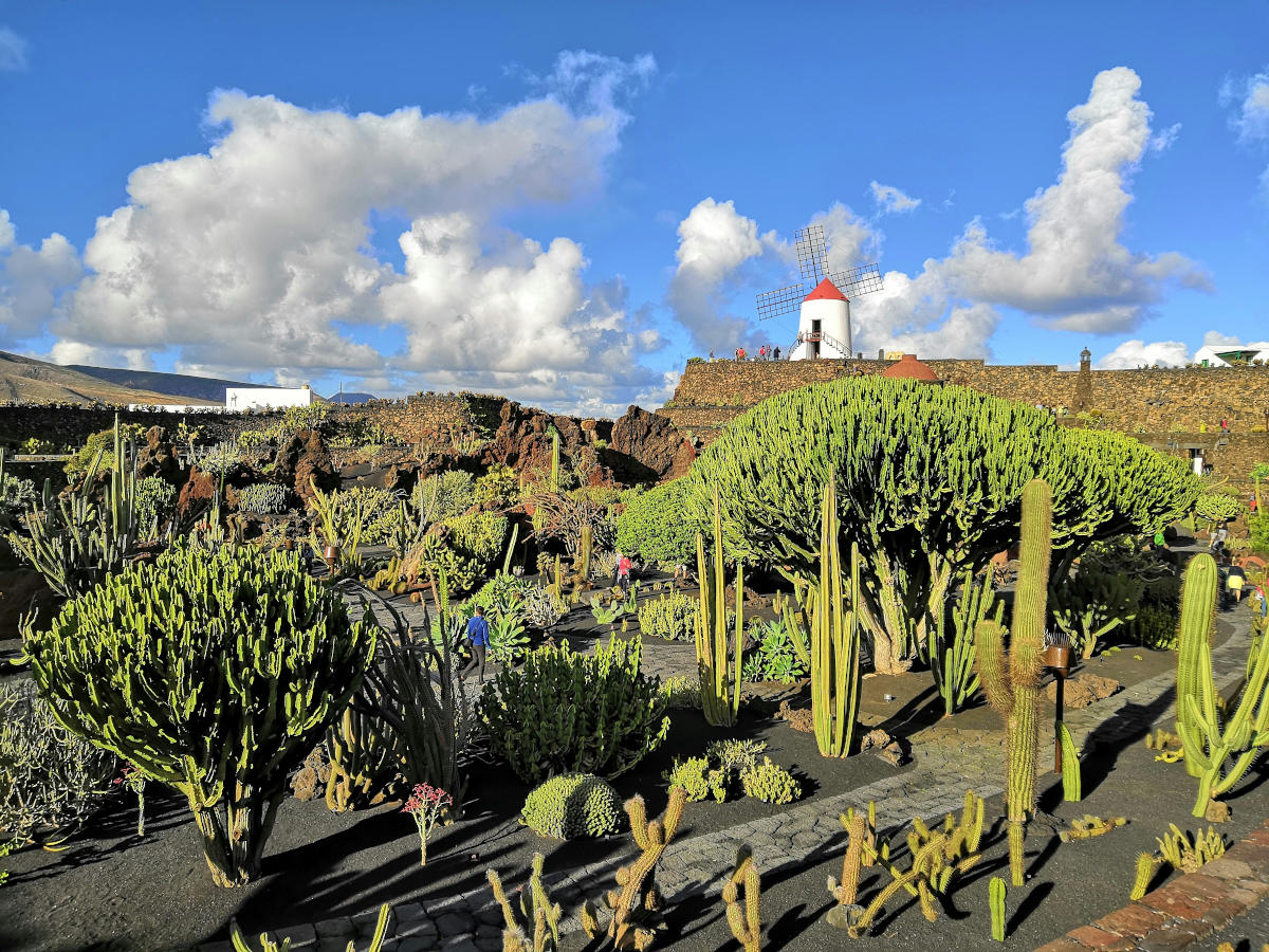 Jardin de Cactus - Kaktusgarten auf Lanzarote